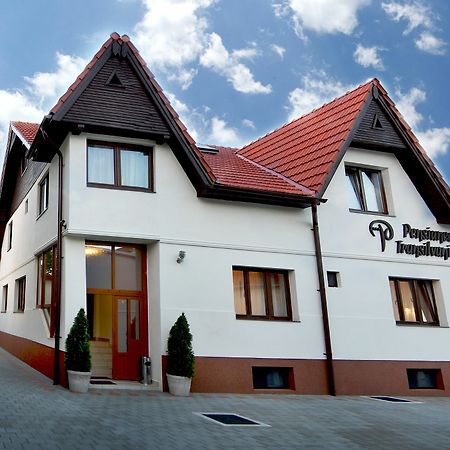 Pensiunea Transilvania Sibiu Exteriér fotografie
